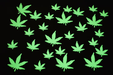 50 Piece Glow in the Dark Multicolor Marijuana Pot Leafs Wall Ceiling Decor